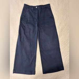 Everlane Wide Leg Pant